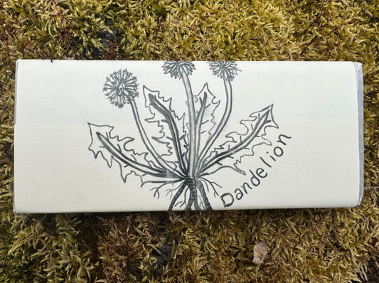 DELIGHTFUL DANDELION